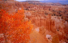 Parc national de Bryce Canyon