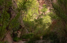 Grand Staircase-Escalante National Monument