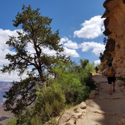 Trekking et Randonnée