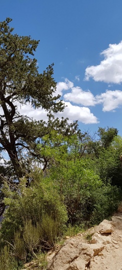 Trekking et Randonnée