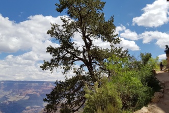 Plateau et Canyon de l'ouest américain