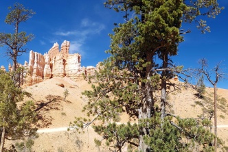 L'Ouest Américain : du Grand  Canyon au Yosemite