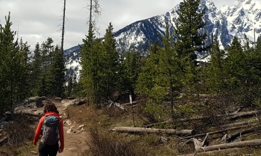 The Great National Parks from Yellowstone to the Pacific