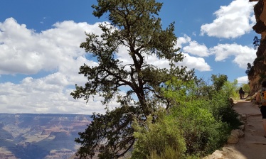 Plateau et Canyon de l'ouest américain