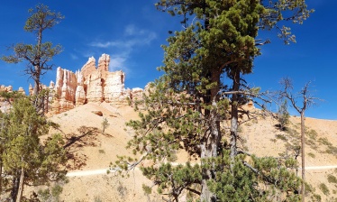 L'Ouest Américain : du Grand  Canyon au Yosemite